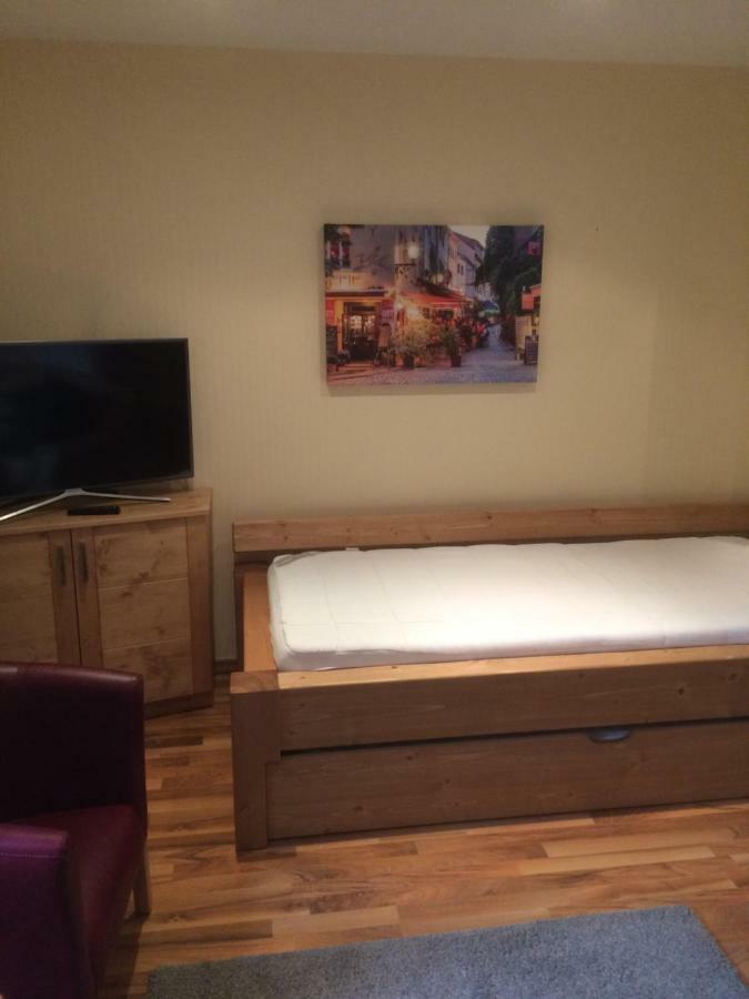 Ferienwohnung Saaletalblick イェーナ エクステリア 写真