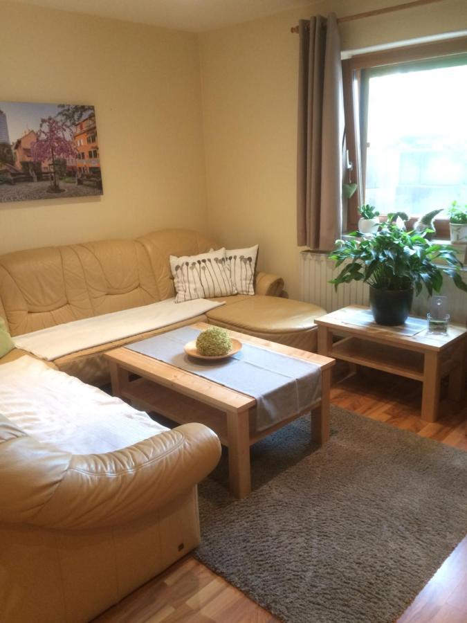 Ferienwohnung Saaletalblick イェーナ エクステリア 写真